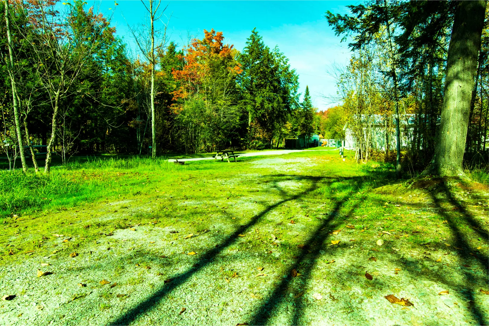 Image 04 - Site de camping - Camping Lac Magog